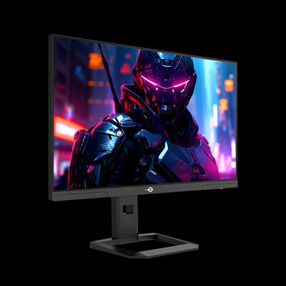 TITAN ARMY P2710S Gaming Monitor
